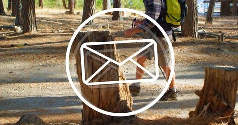 Hiking Adventure in Sunlit Pine Forest with Trekking Poles