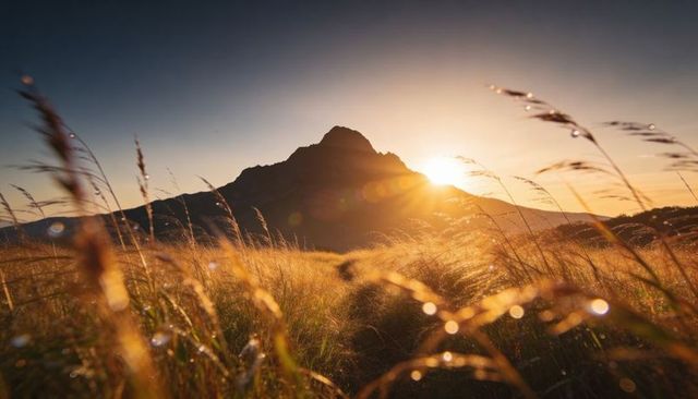 Framing mountain peak with sun glowing over dewy meadow path at golden hour