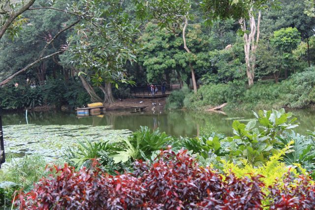 This serene photo shows a tranquil forest pond surrounded by lush greenery and vibrant, colorful foliage. The setting is peaceful, making it a perfect backdrop for themes of relaxation, nature appreciation, and outdoor activities. Ideal for use in eco-tourism campaigns, travel guides, environmental awareness materials, and landscape design inspirations.