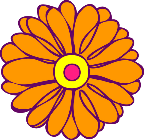 Vibrant Orange Flower Bloom on Transparent Background Illustration