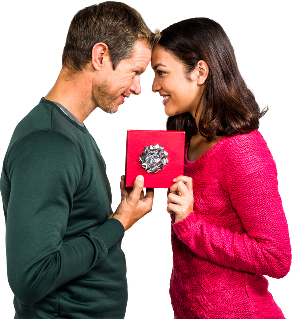 Transparent Cheerful Couple Holding Gift Box In Warm Sweaters & Romantic Pose - Download Free Stock Videos Pikwizard.com