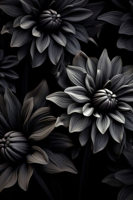 Dark and Moody Close-Up of Black Flowers on Black Background - Download Free Stock Images Pikwizard.com