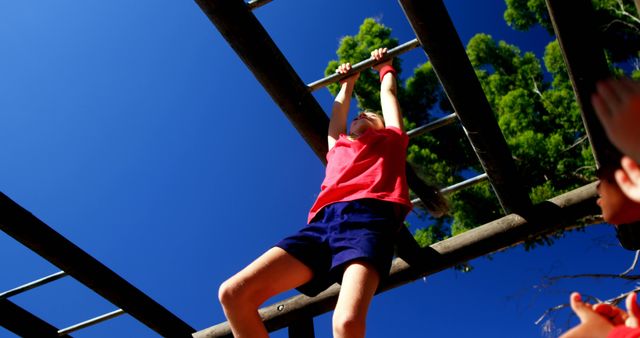 Girl Climbing Wooden Ladders at Boot Camp on Clear Day - Download Free Stock Images Pikwizard.com