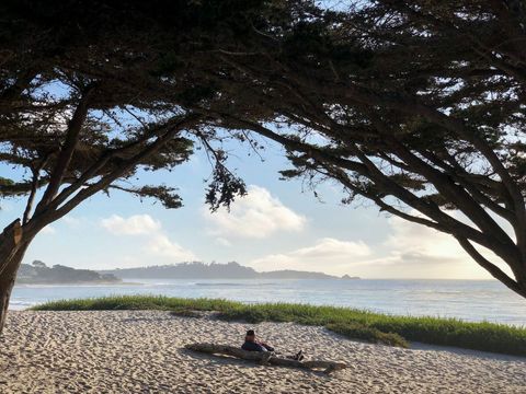 Serene coastal relaxation on sandy beach shoreline