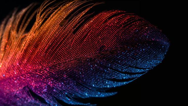 Iridescent feather macro showing vibrant red to blue gradient with glitter on black