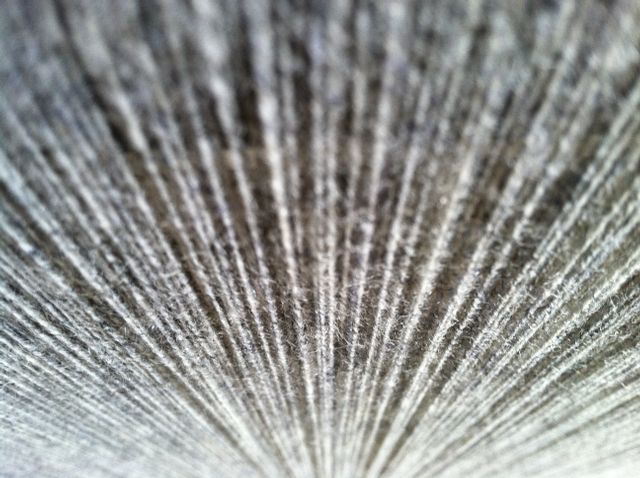 Close-Up of Abstract Texture with Vertical Lines Pattern - Download Free Stock Photos Pikwizard.com