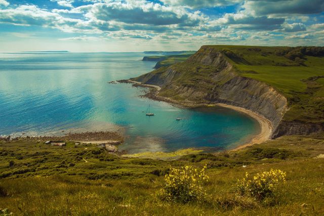 Picturesque coastal scene showcasing the beauty of the English seaside with towering cliffs and calm, blue waters. Two boats gently float on the water in the bay, while green vegetation dots the cliffs and pathways—notable abundance of yellow flowers in the foreground hints at the season. Ideal for travel brochures, websites promoting coastal destinations, or nature photography collections. Perfect for anyone wanting to evoke a serene and peaceful coastal atmosphere.