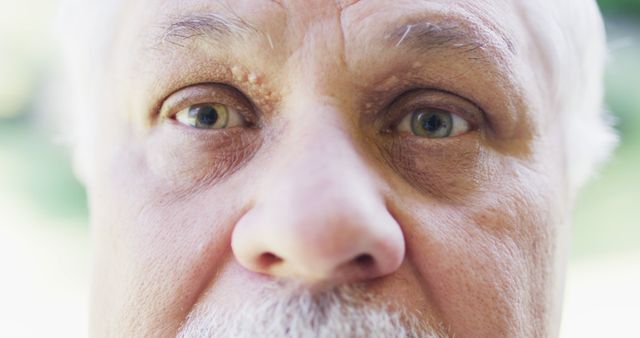 Close-up of Elderly Man's Face with Detailed Eyes and White Hair - Download Free Stock Images Pikwizard.com