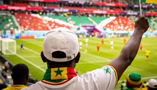 Stadium football fan raising flag wearing senegal tricolor scarf cheering