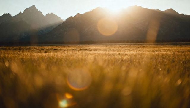 Golden meadow at sunset with lens flare, bokeh orbs and jagged mountain silhouette