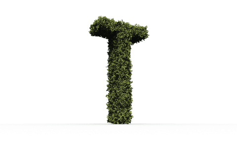Transparent Letter T with Grass Texture on Isolated Background - Download Free Stock Videos Pikwizard.com