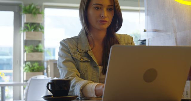 Young Woman Working on Laptop in Modern Cafe Interior - Download Free Stock Images Pikwizard.com