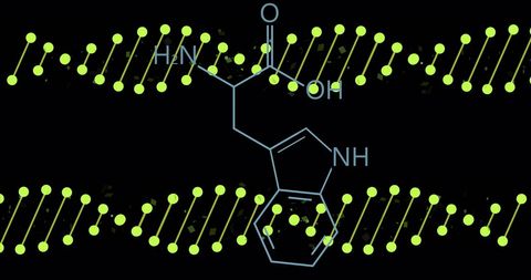 Tryptophan Structural Formula with DNA Molecules Background - Download Free Stock Images Pikwizard.com