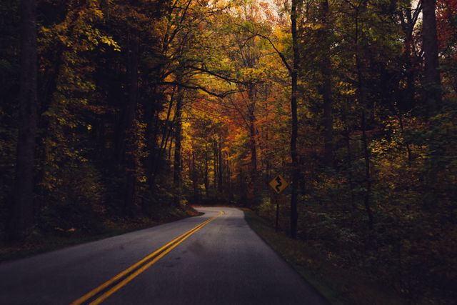 Serene setting showcasing a winding road through a forest full of vibrant fall foliage. Ideal for use in autumn travel promotions, nature-themed blogs, scenic landscape posters, and environmental awareness campaigns.