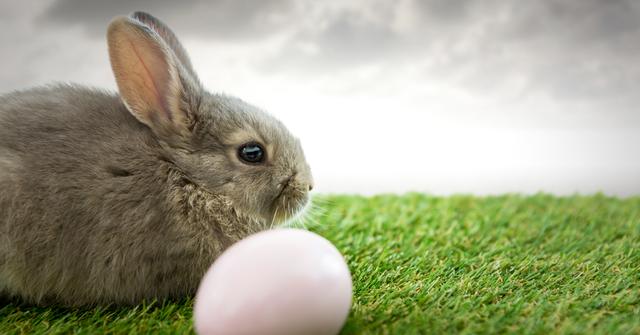 Digital composite of Easter rabbit with egg in front of cloudy sky