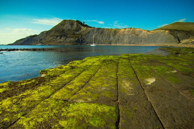 This coastal scene showcases a serene landscape with vivid green moss covering rocks leading to calm waters. In the backdrop, there are cliffs and mountains under a bright blue sky with a single sailing boat. Ideal for travel brochures, environmental studies, and tourism websites.