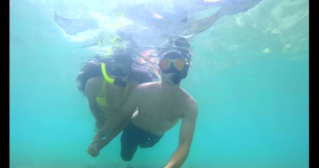 Couple Snorkeling Underwater Together in Clear Blue Ocean - Download Free Stock Images Pikwizard.com