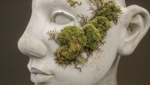 Moss-covered white bust with weathered patina closeup for eco art, decay and restoration