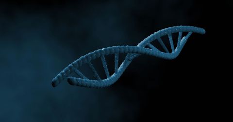 Blue 3D DNA Strand Spinning on Dark Background - Download Free Stock Images Pikwizard.com