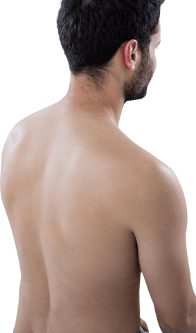 Transparent view of shirtless man's back highlighting musculature