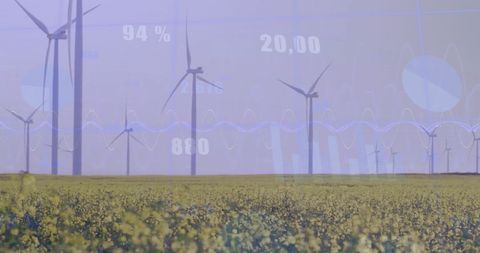 Finance and Data Processing over Sustainable Wind Energy Field - Download Free Stock Images Pikwizard.com