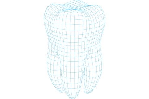 transparent blue gridded tooth illustration on isolated background - Download Free Stock Videos Pikwizard.com
