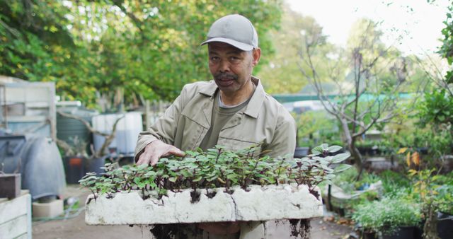 Senior Man Holding Plant Tray in Garden, Fostering Green Thumb - Download Free Stock Images Pikwizard.com