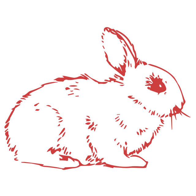 Red Rabbit Vector Illustration on Transparent Background - Download Free Stock Videos Pikwizard.com