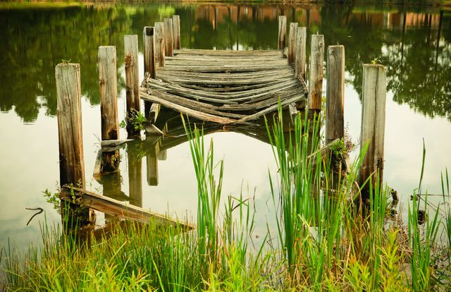 Old dilapidated wooden pier on a serene lake with tall green grass - Download Free Stock Photos Pikwizard.com