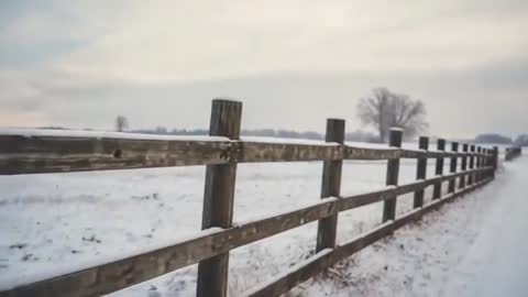 Tracking Weathered Wooden Fence Leading Through Snow-Covered Rural Field at Dusk