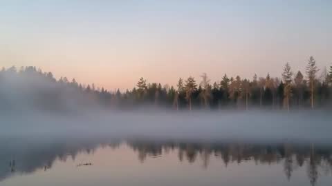Mystical Light Emerging Across Serene Forest Lake