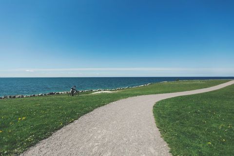 Serene Coastal Pathway under Clear Blue Sky