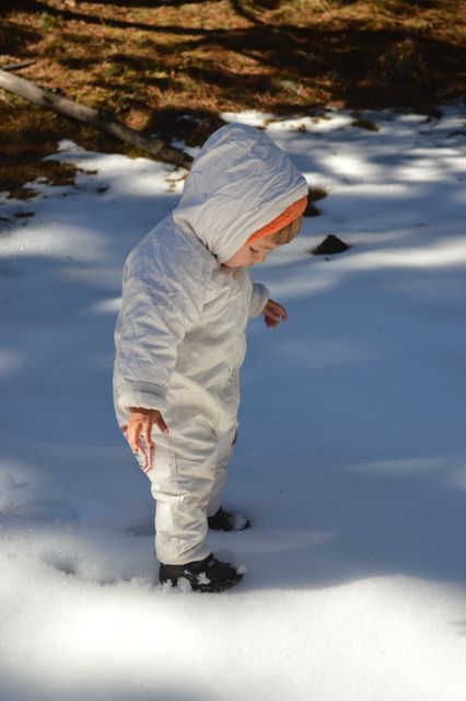 Toddler dressed in warm winter clothing standing on snow-covered ground, surrounded by woodland area, looking down at their feet. This image can be used for winter outdoor activities promotions, parenting blogs, children's clothing ads, and childhood adventure themes.