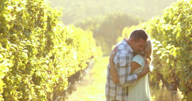 A Caucasian couple enjoys a romantic embrace amidst the lush vines of a vineyard, with copy space. Their affectionate moment captures the essence of love and connection in a serene outdoor setting.
