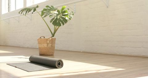 Peaceful Yoga Space with Diasarum Plant and Rolled Yoga Mat