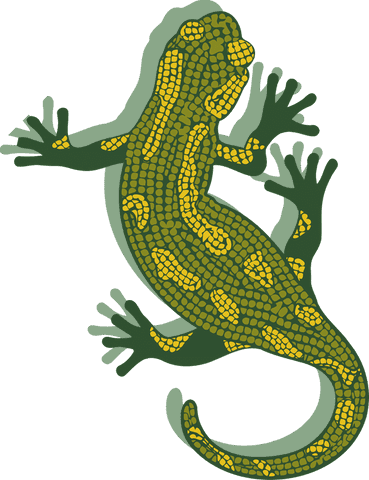Vibrantly patterned gecko on transparent background