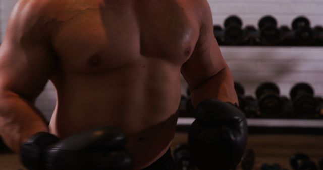 Muscular Man Boxing in Gym with Dumbbells in Background - Download Free Stock Images Pikwizard.com