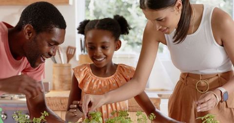 Family gardening indoor herb seedlings in cozy kitchen