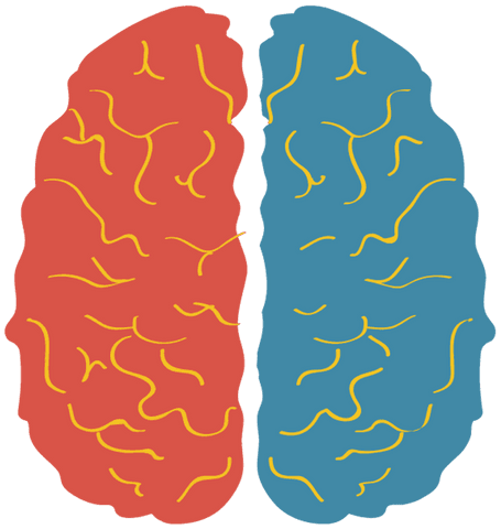 transparent brain illustration with colorful abstract design - Download Free Stock Videos Pikwizard.com