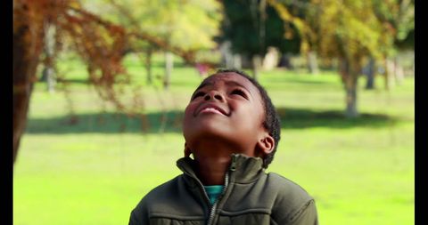 Child Gazing Up at Autumn Leaves in Scenic Park