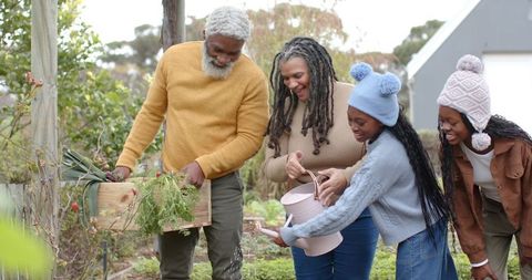 Multigenerational black family gardening together harvesting veggies and watering plants