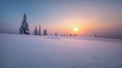 Timelapse of sunrise over snow-covered meadow with lone evergreen, soft alpenglow and footprints