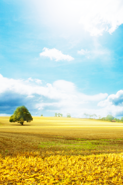 Transparent picturesque landscape with field, tree and blue sky - Download Free Stock Videos Pikwizard.com