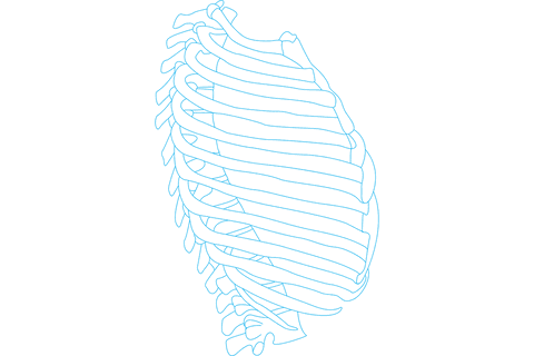 transparent neon blue rib cage outline - Download Free Stock Videos Pikwizard.com