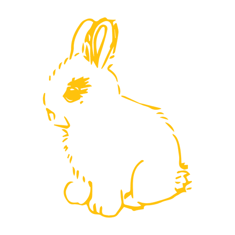 yellow bunny illustration on transparent background for celebration design - Download Free Stock Videos Pikwizard.com