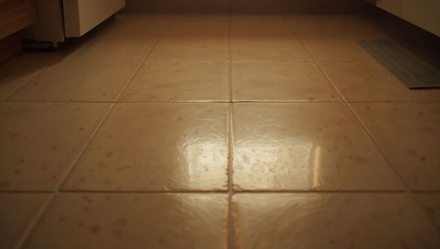 Glossy beige ceramic tile floor reflecting window light with grout lines and water spots