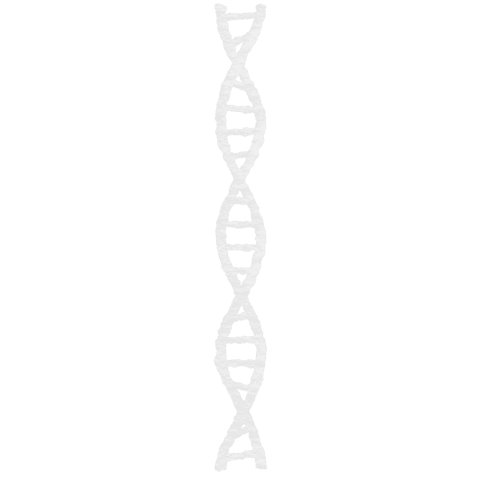 white dna strand on transparent background for medical concepts - Download Free Stock Videos Pikwizard.com