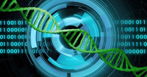 DNA Strand Interacting with Digital Interface in Scientific Visualization - Download Free Stock Images Pikwizard.com