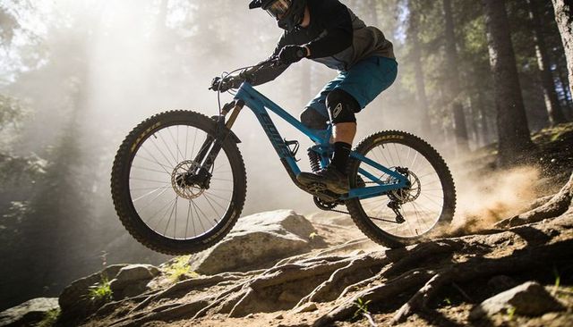 Mountain biker launching over rocky singletrack in sunlit pine forest, airborne action