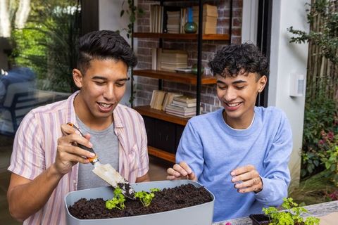 Friends Embracing Nature Planting Seedlings Together in Bright Sunroom